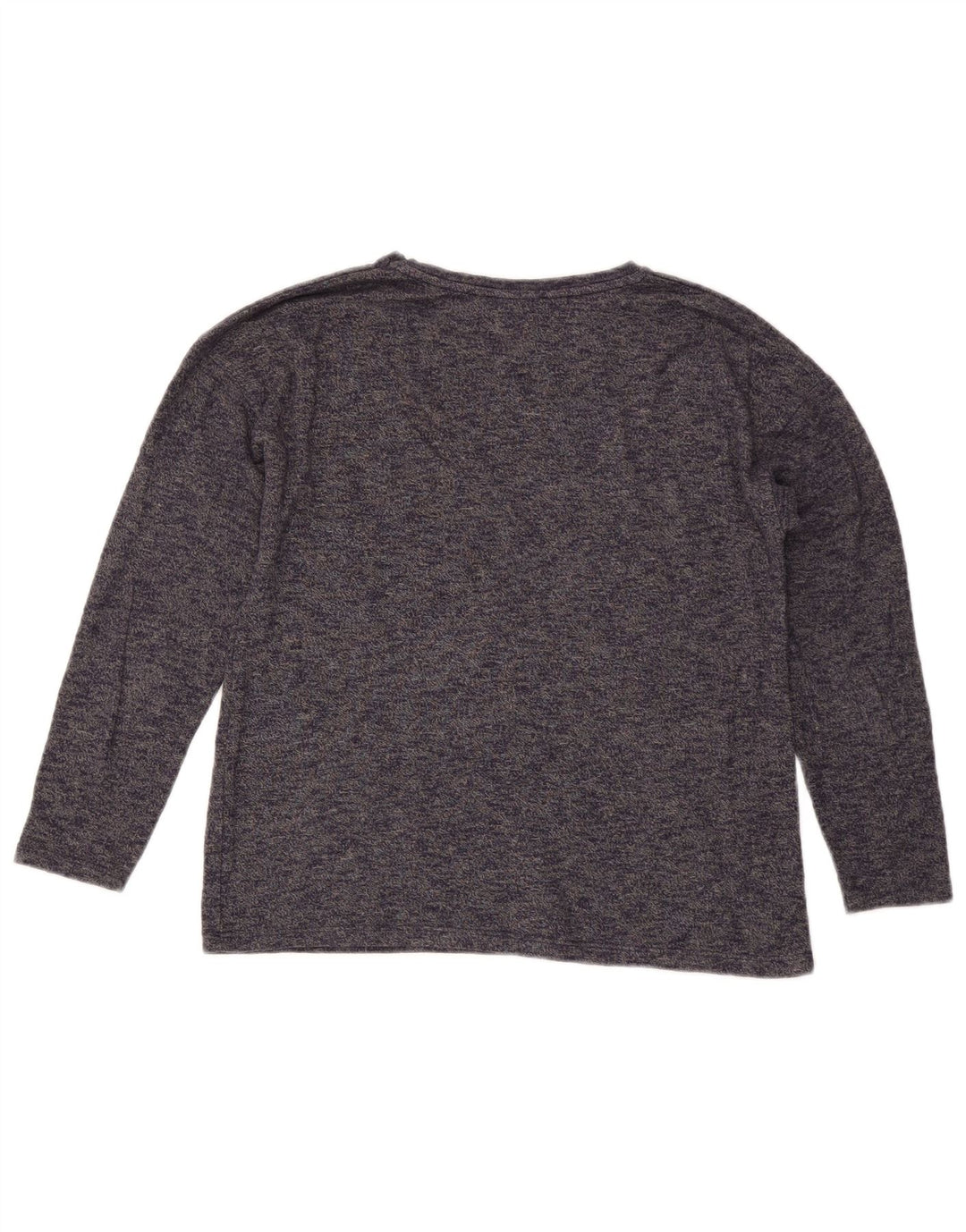 ZARA Womens Graphic Top Long Sleeve UK 10 Small Blue Flecked
