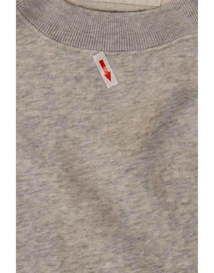 Pulover supradimensionat pentru bărbați Abercrombie & Fitch, bumbac mare, gri