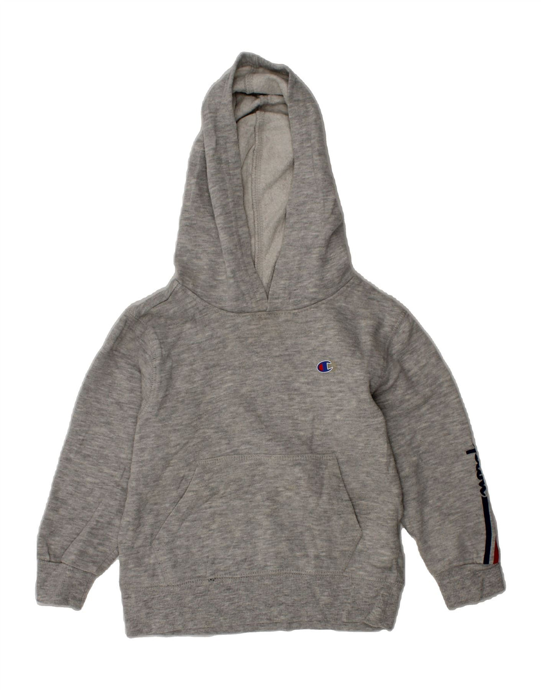 CHAMPION Boys Graphic Hoodie Jumper 3-4 Years Grey Cotton Vintage Champion and Second-Hand Champion from Messina Hembry 