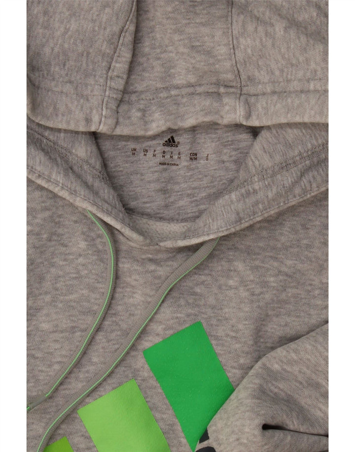 Adidas Herren Graphic Hoodie Pullover Mittelgrau