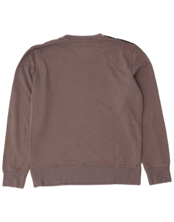 Hollister Mens Graphic Sweatshirt Jumper Small Grey Colourblock Cotton