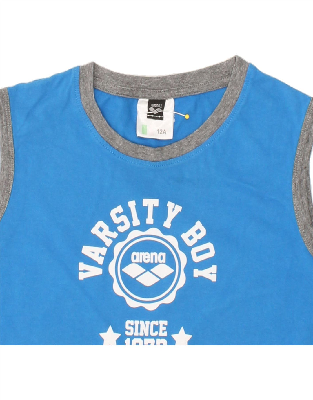 ARENA Boys Graphic Vest Top 11-12 Years Blue Vintage Arena and Second-Hand Arena from Messina Hembry 
