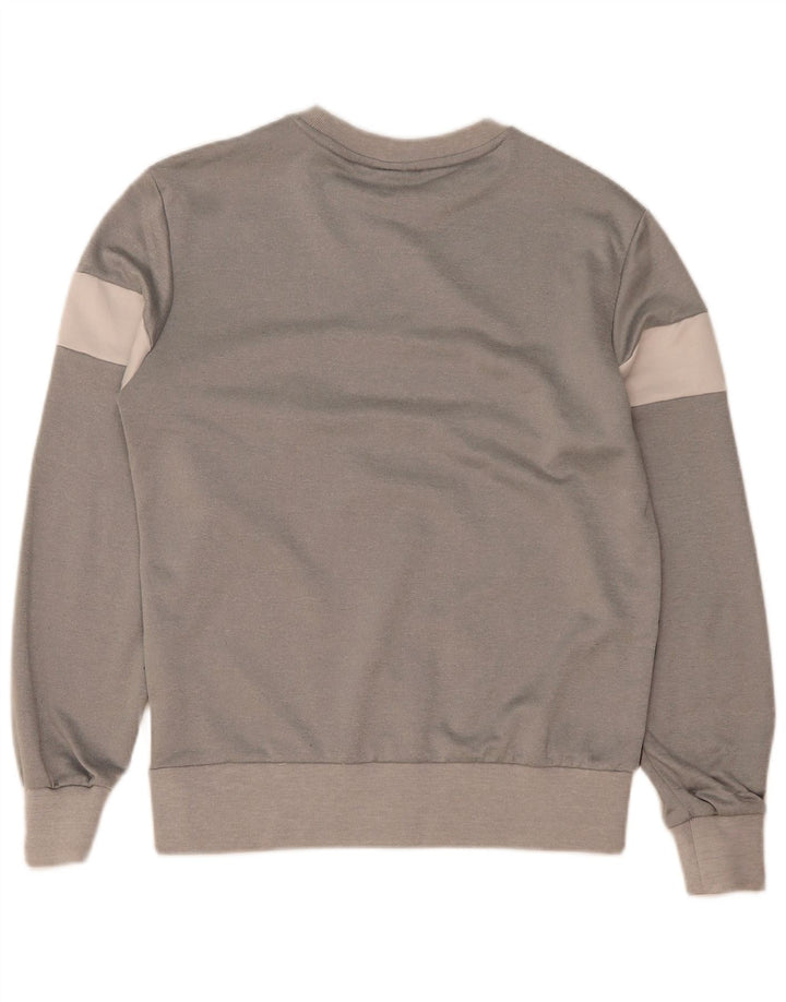 Ellesse Mens Graphic Sweatshirt Jumper Medium Grey Colourblock Polyester