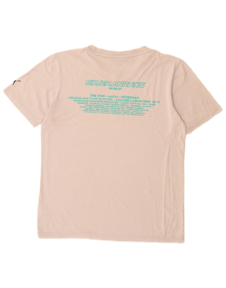 PUMA Mens Graphic T-Shirt Top Small Grey Cotton