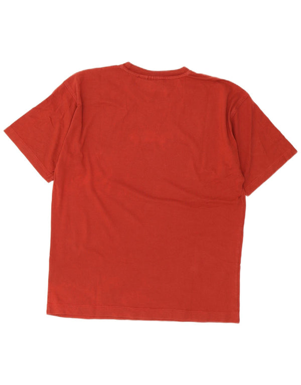 Ανδρικό γραφικό μπλουζάκι Puma Top Larg Brown