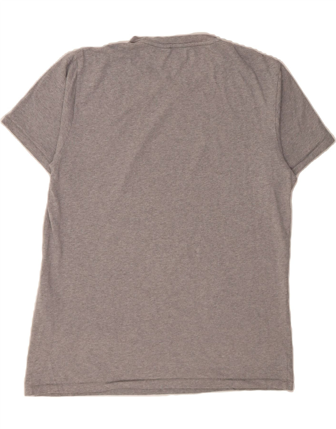 LEVI'S Mens Graphic T-Shirt Top Large Grey Cotton Vintage Levi's and Second-Hand Levi's from Messina Hembry 