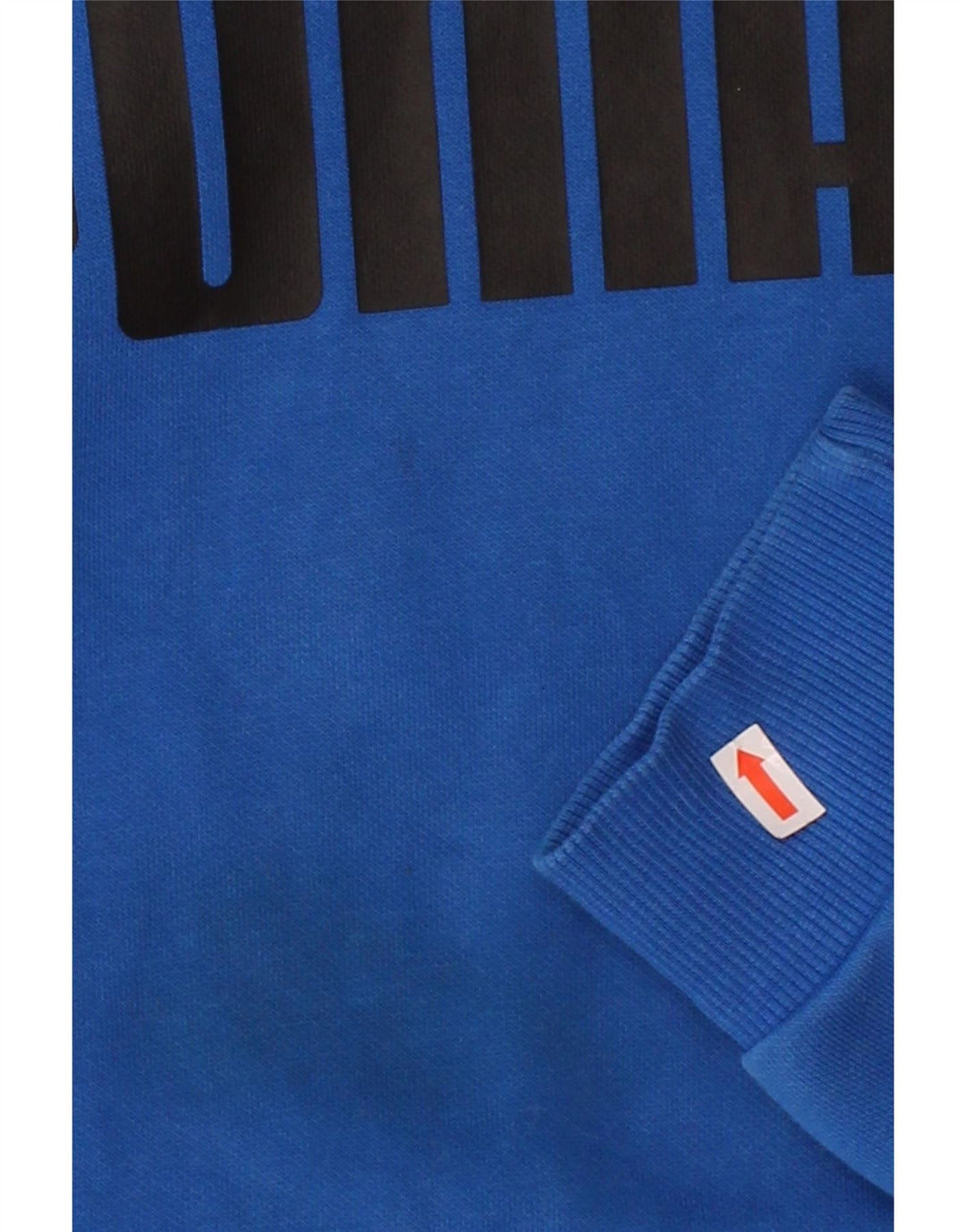 PUMA Mens Graphic Hoodie Jumper Medium Blue