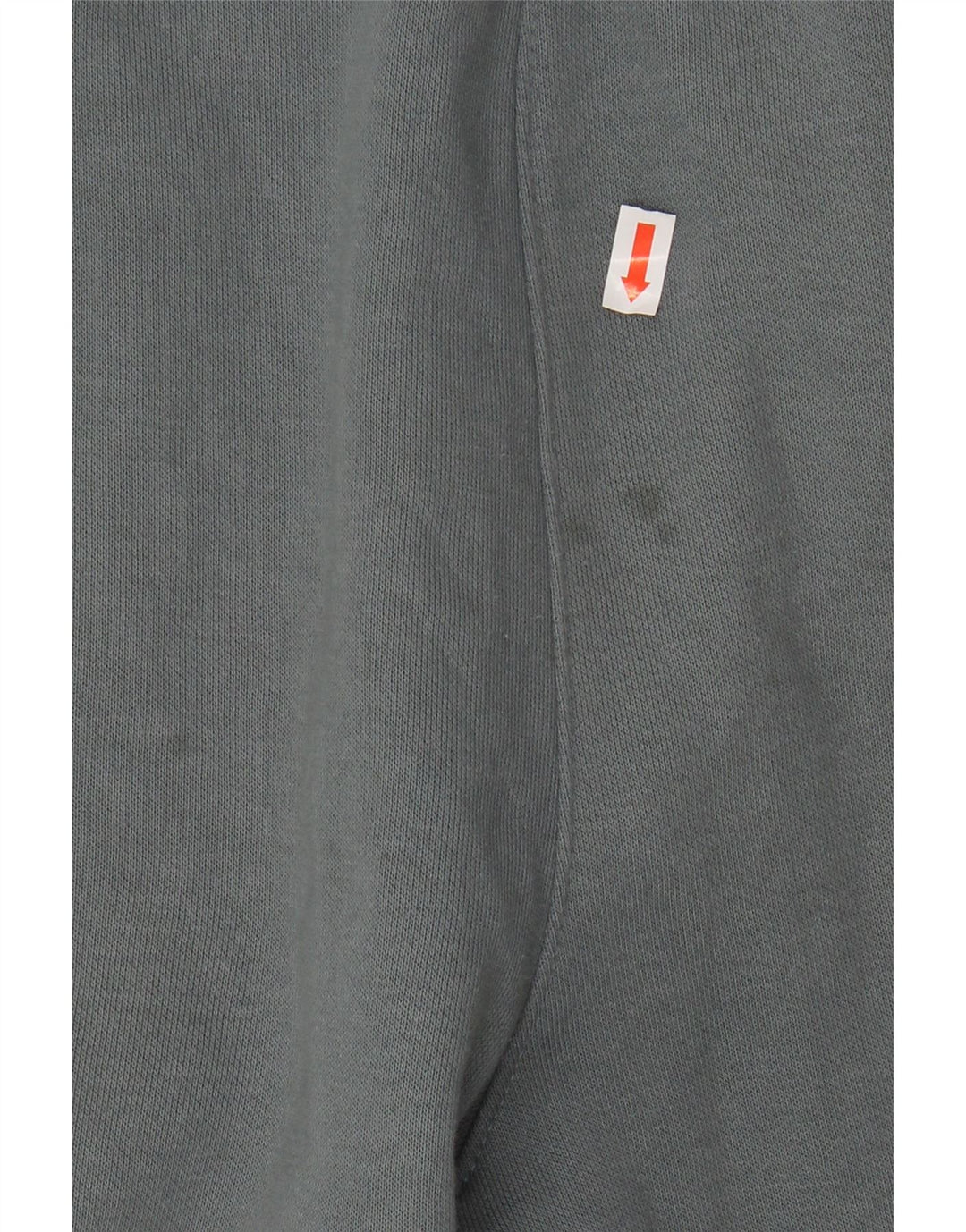 CHAMPION Mens Tracksuit Trousers Medium  Blue