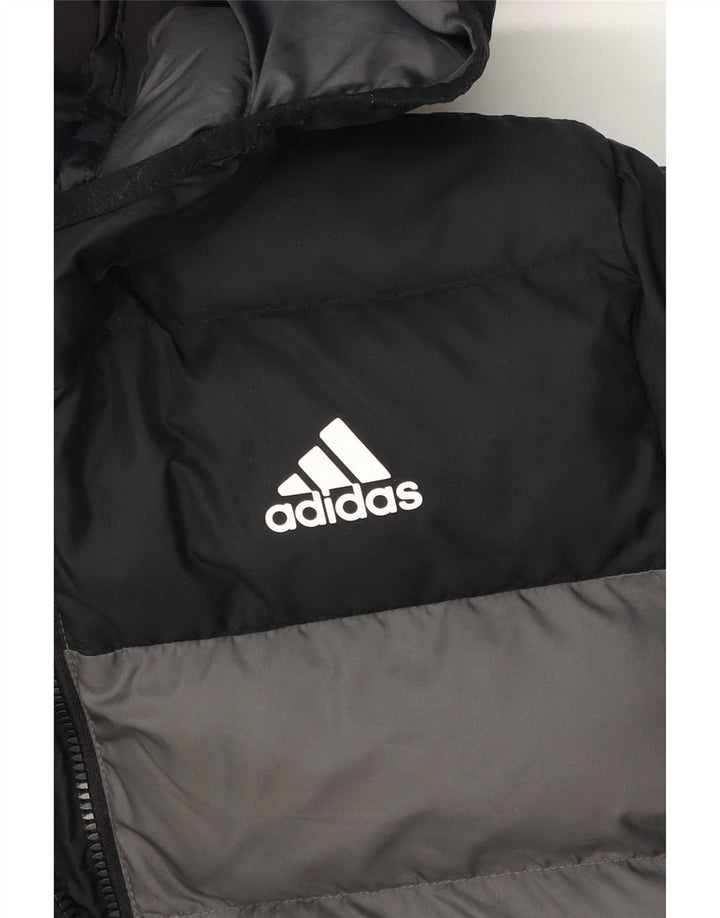 Adidas Boys Hooded Padded Jacket 13-14 Years Grey Colourblock