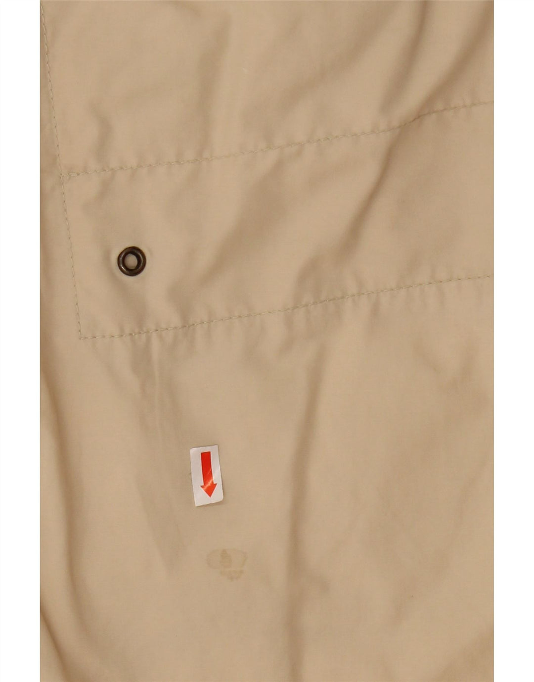 Invicta Mens Chino Shorts IT 50 Large W32  Beige Cotton