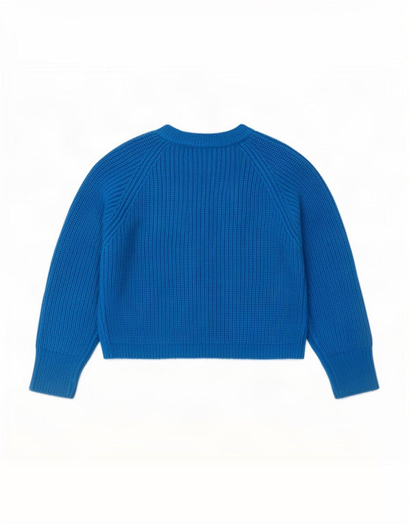 Zara Womens Crop Crew Neck Jumper Sweater UK 10 Small Blue Acrylic