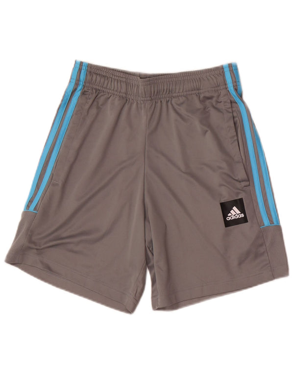 Pantaloncini sportivi Adidas da uomo con grafica regolare piccoli sportivi grigi