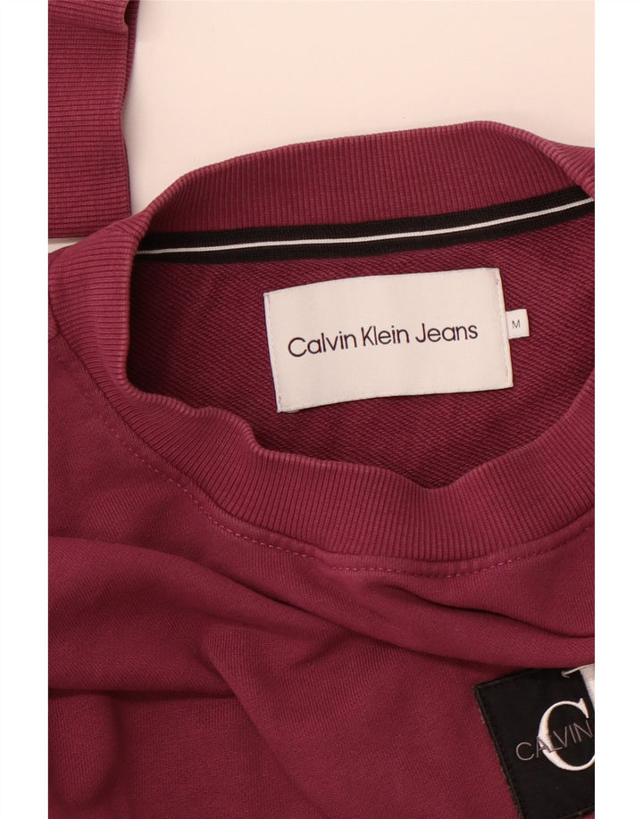CALVIN KLEIN JEANS Mens Graphic Sweatshirt Jumper Medium Purple