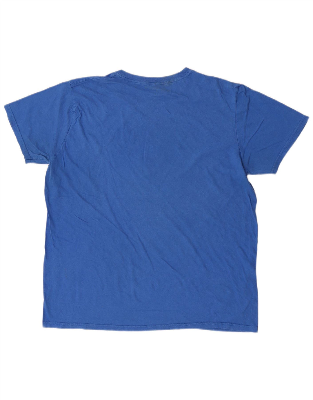 Reebok Mens Graphic T-Shirt Top Large Blue