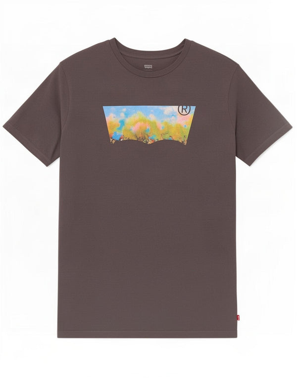 Levi's T-Shirt Graphique Homme Large Gris