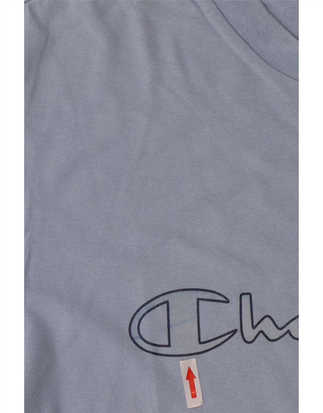 Champion Mens Graphic T-Shirt Top Large Blue Cotton