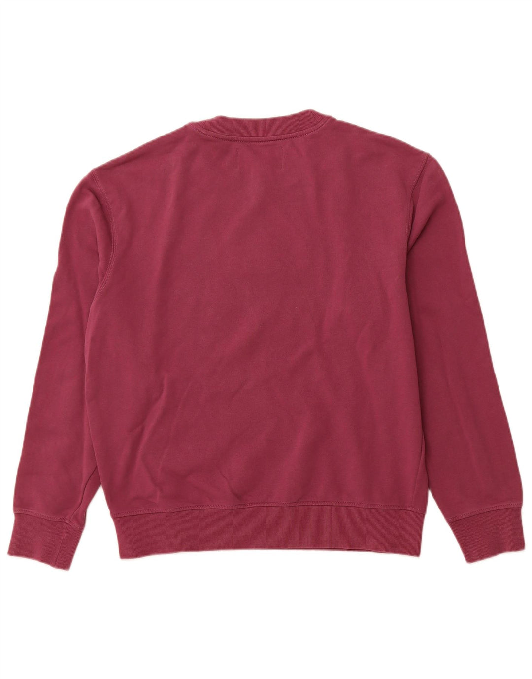 CALVIN KLEIN JEANS Mens Graphic Sweatshirt Jumper Medium Purple