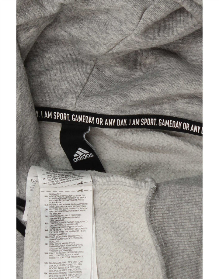 Adidas Mens Graphic Hoodie Jumper Medium Grey Cotton