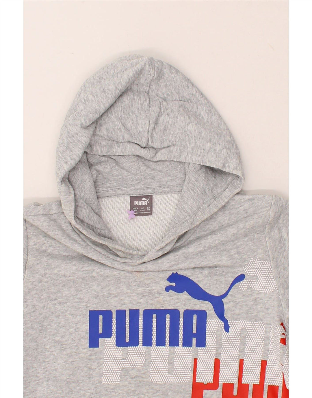 PUMA Boys Graphic Hoodie Jumper 9-10 Years Grey Cotton Vintage Puma and Second-Hand Puma from Messina Hembry 