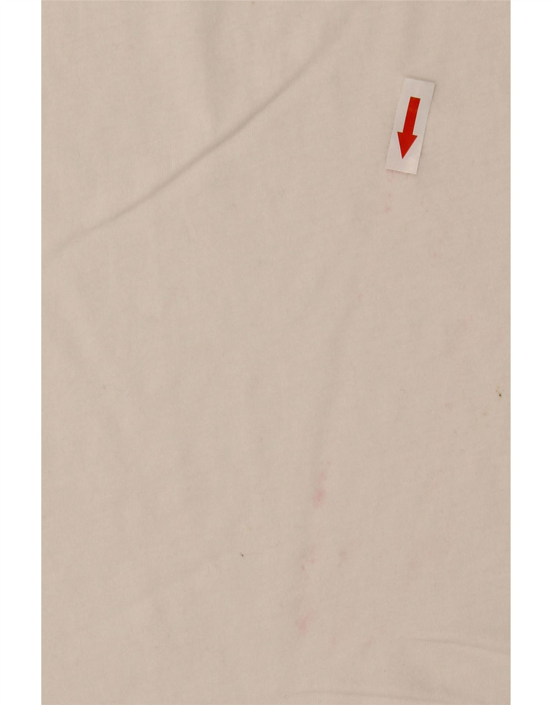 T-shirt grafica da uomo Replay Top bianco medio