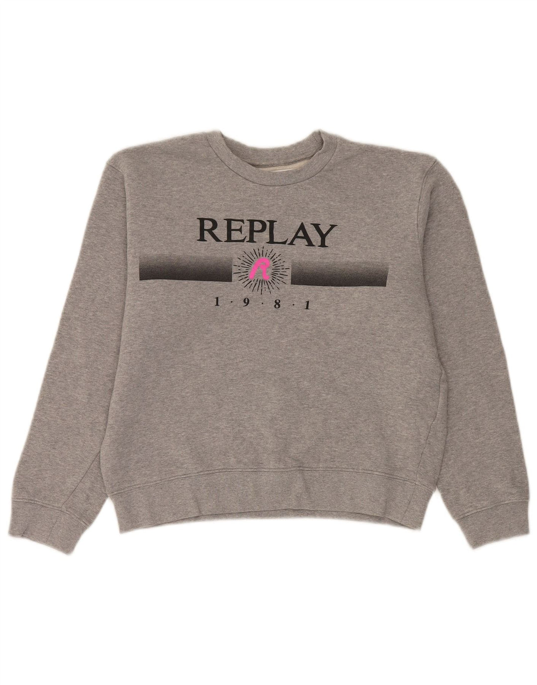 Felpa oversize con grafica da donna Replay, maglione UK 10, piccolo cotone grigio