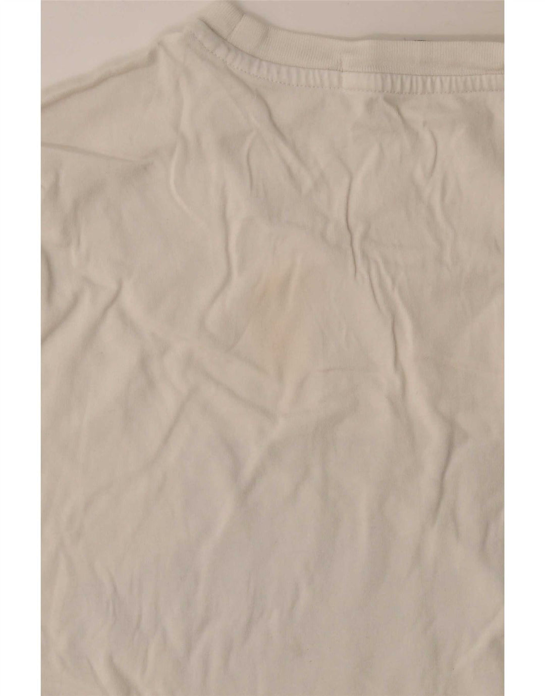 Maglietta grafica da uomo Calvin Klein Jeans Top in cotone bianco medio