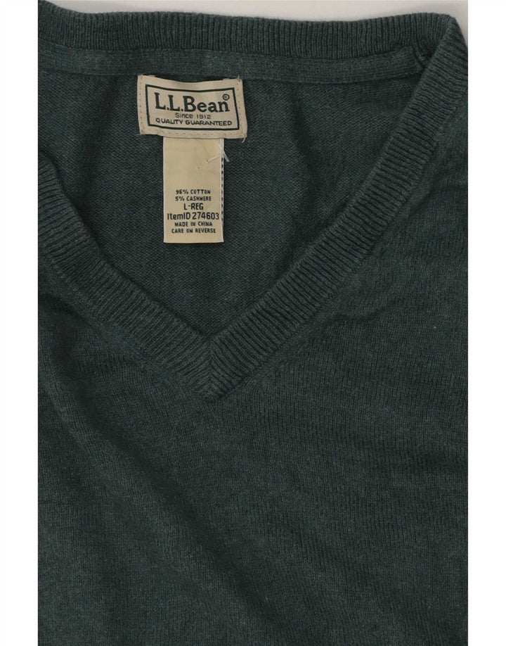 L.L.Bean Mens V-Neck Jumper Sweater Large Green Cotton