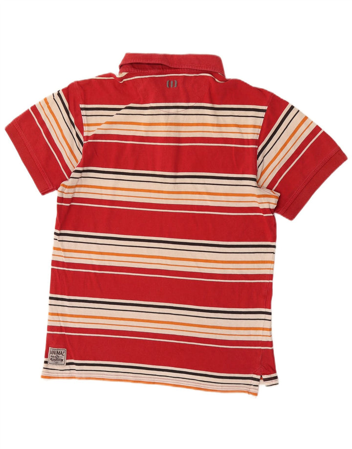 Animal Mens Polo Shirt Medium Red Striped Cotton