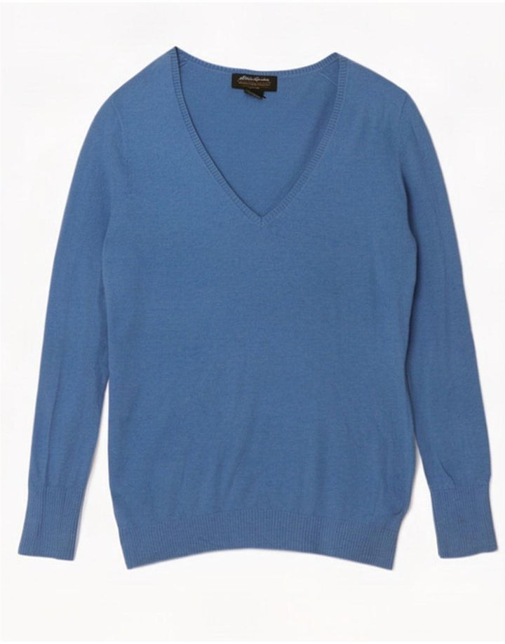 Eddie Bauer Mens V-Neck Jumper Sweater Small Blue Cotton