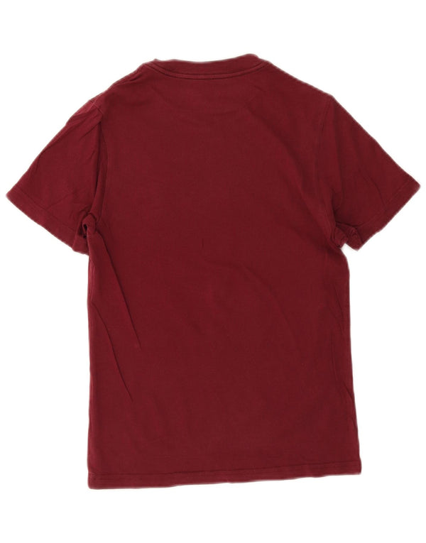 Camiseta Vans Meninos Graphic Top 8-9 Anos Pequeno Borgonha