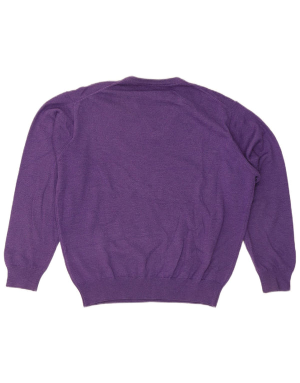 Pierre Cardin Mens V-Neck Jumper Sweater Small Purple Acrylic
