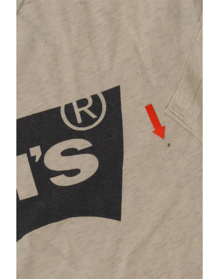 T-shirt grafica da uomo Levi's Top grande grigio screziato