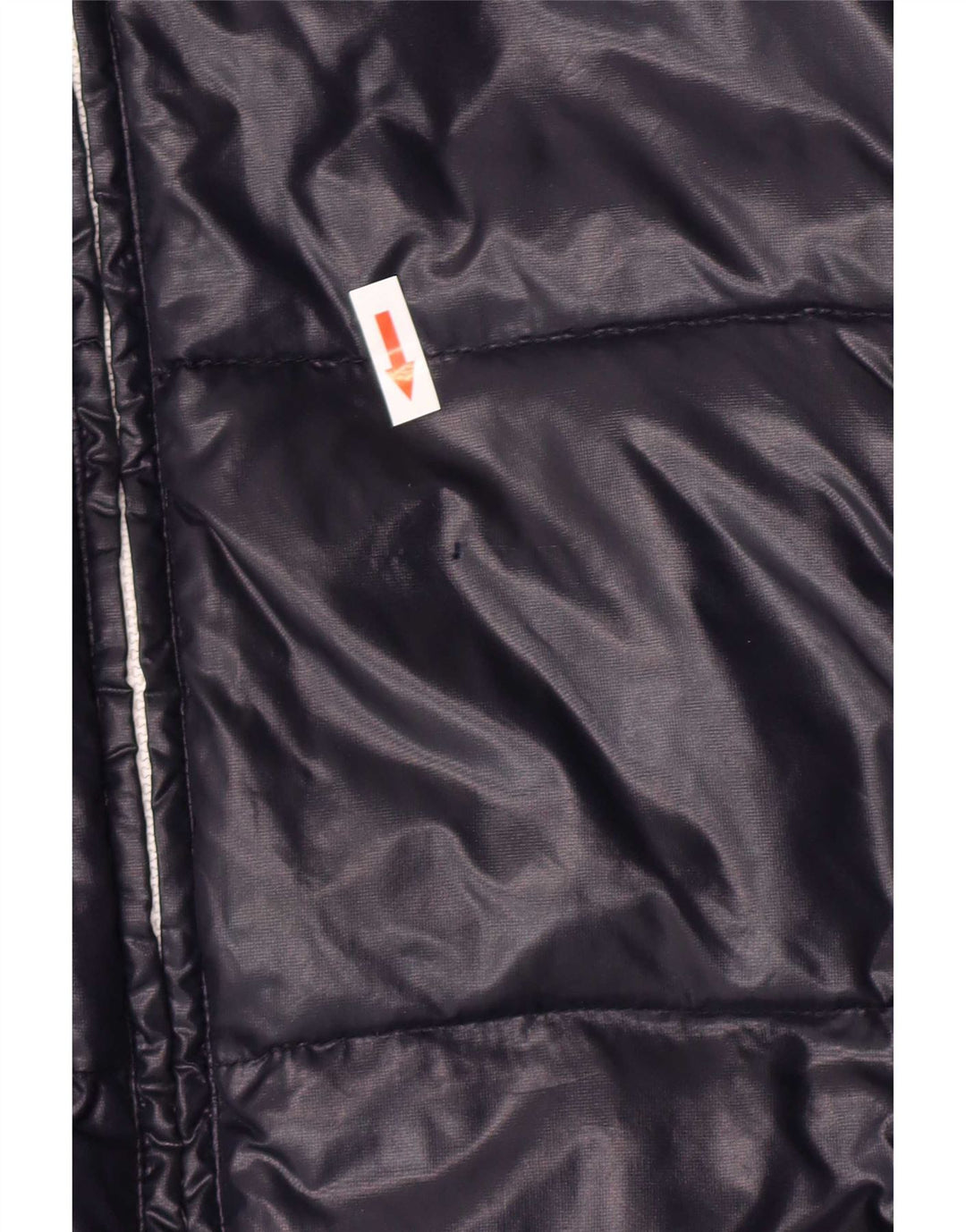 Armani Junior Boys Hooded Padded Jacket 15-16 Years Navy Blue Colourblock