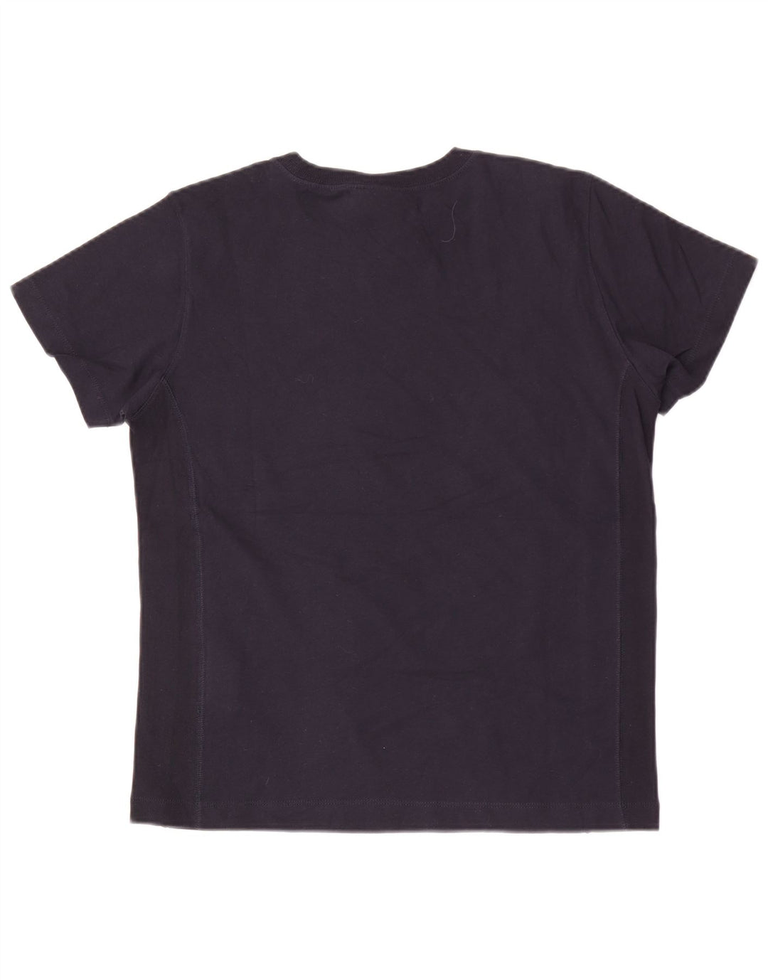Champion Mens T-Shirt Top Small Navy Blue Cotton
