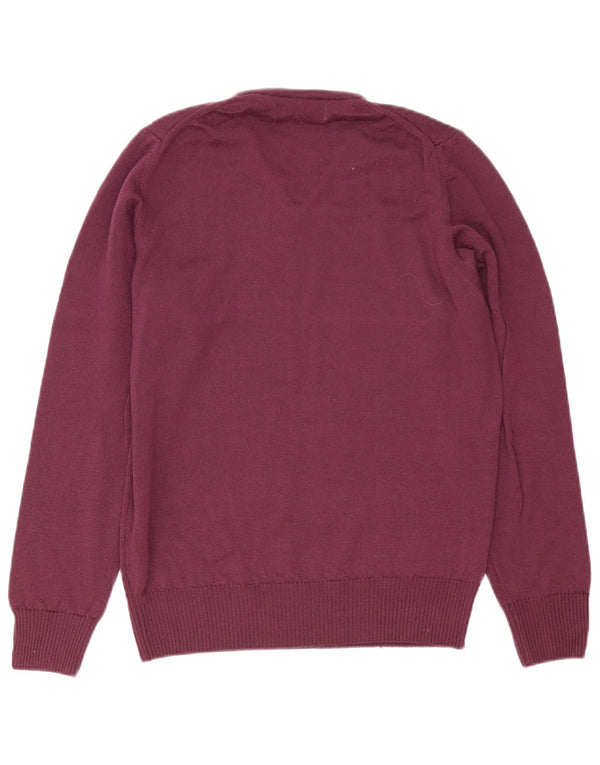 Zara Mens V-Neck Jumper Sweater Medium Purple