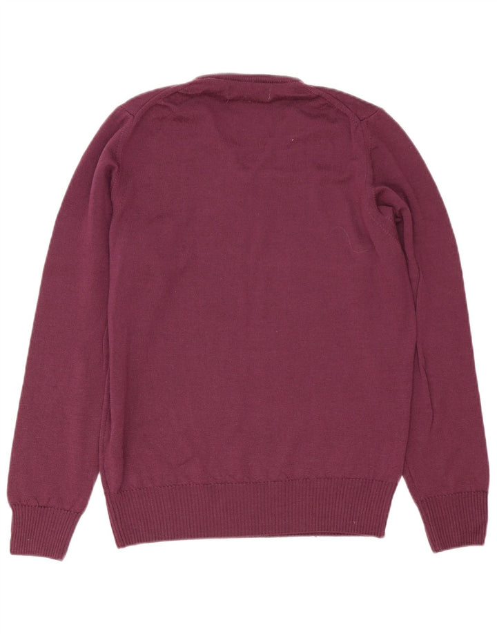Zara Mens V-Neck Jumper Sweater Medium Purple