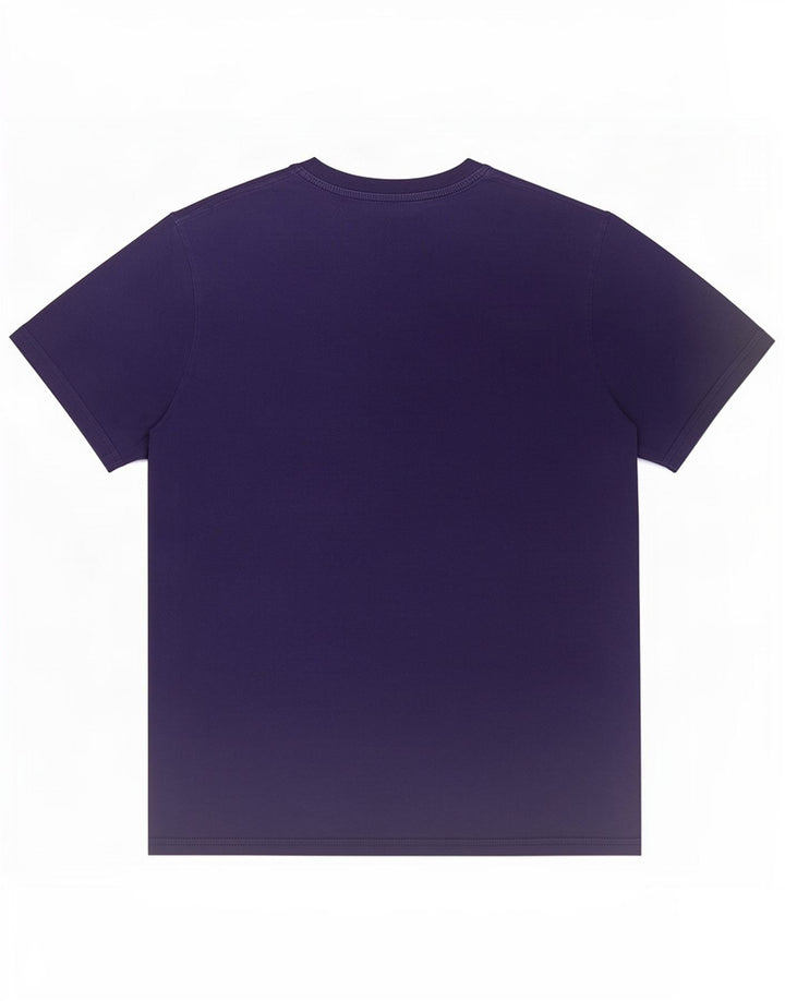 Champion Mens Graphic T-Shirt Top Medium Navy Blue