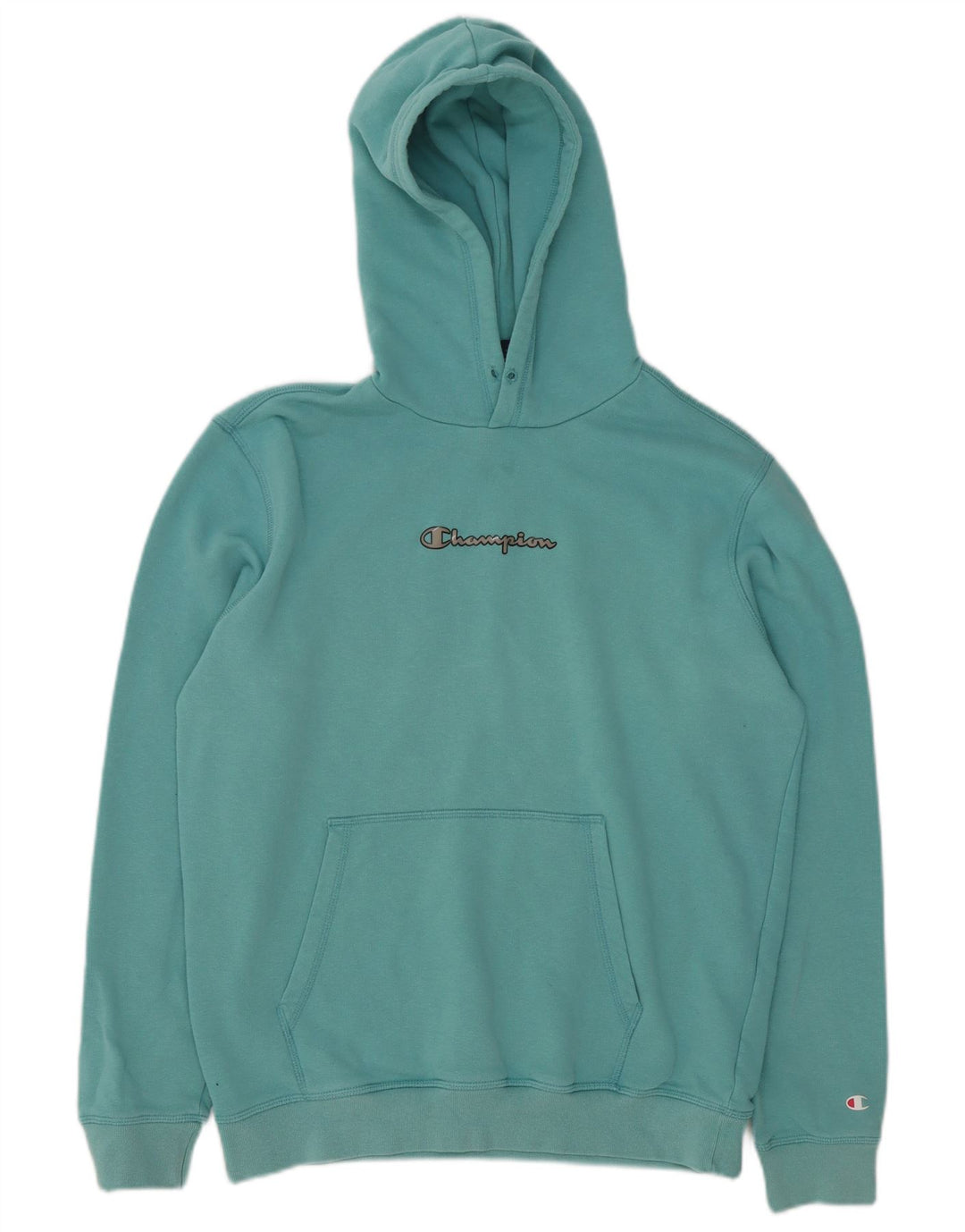 CHAMPION Mens Hoodie Jumper Large Blue Cotton
