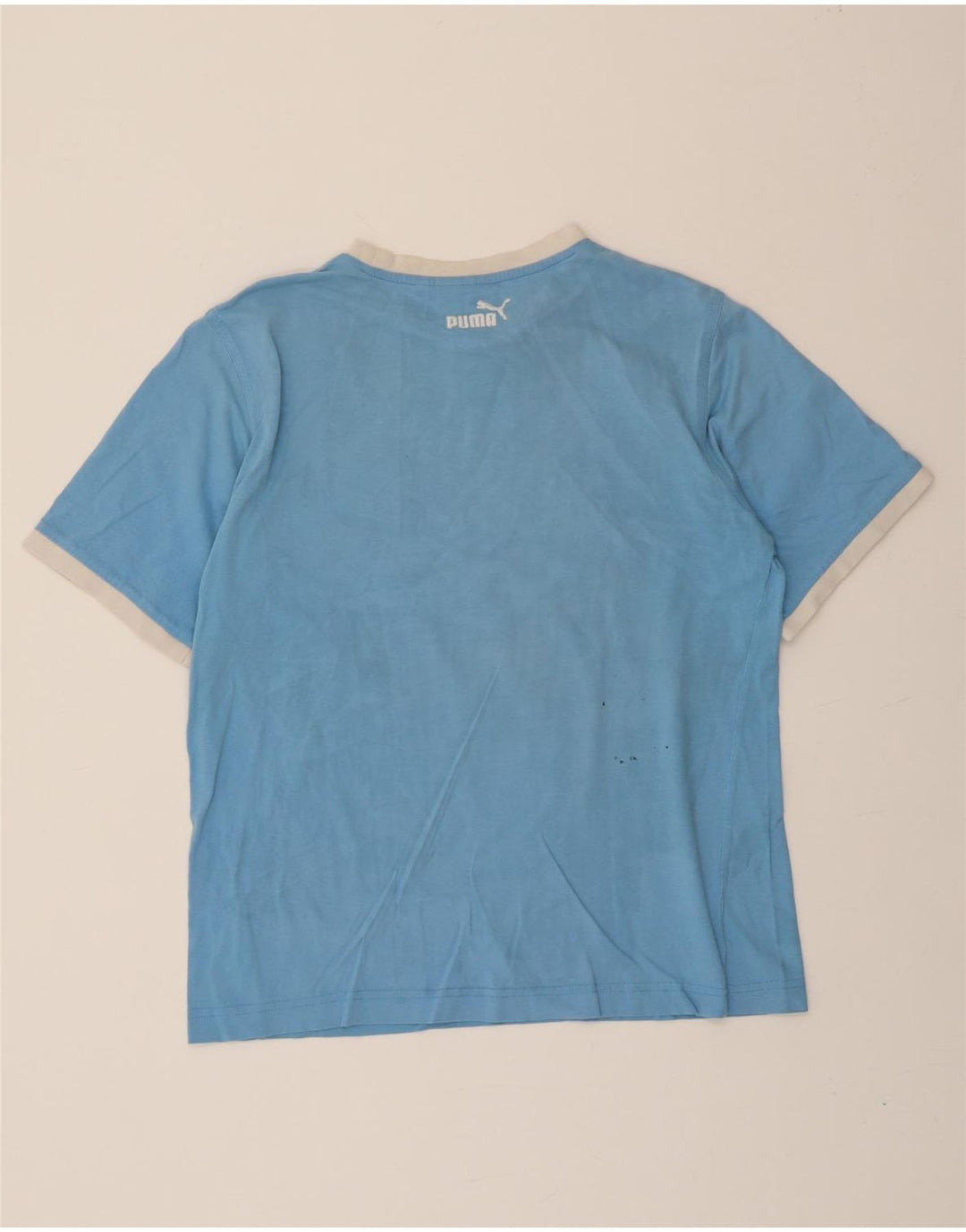 PUMA Mens Graphic T-Shirt Top Large Blue Vintage Puma and Second-Hand Puma from Messina Hembry 