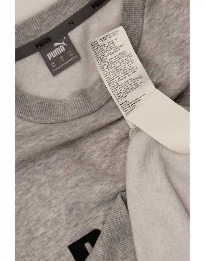 Felpa grafica da uomo Puma Jumper XS in cotone grigio