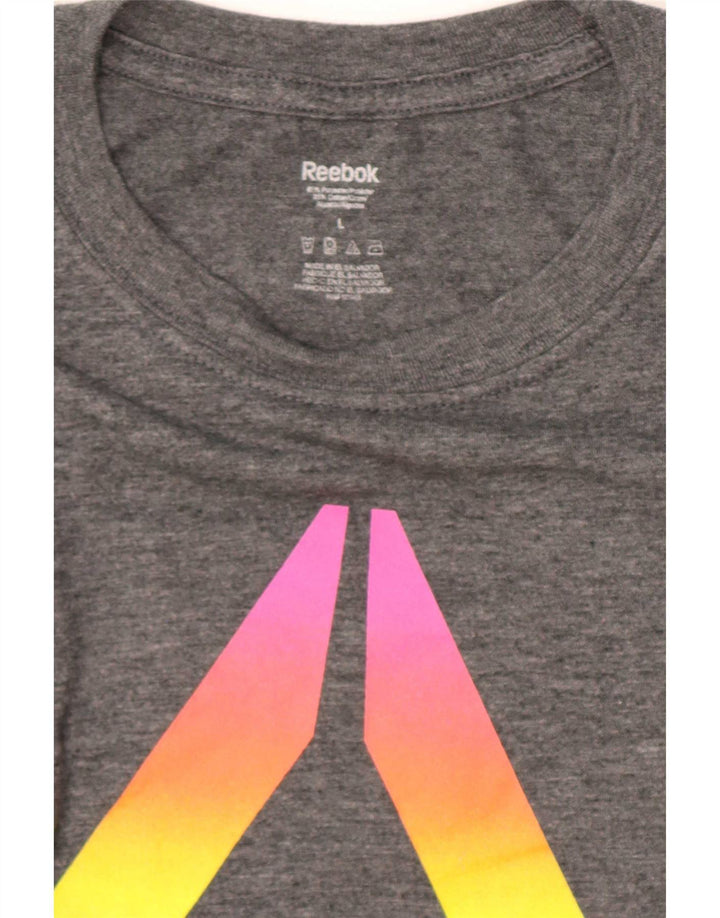 Ανδρικό γραφικό T-Shirt Reebok Top Large Grey Polyester